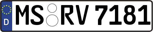 MS-RV7181