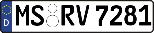 MS-RV7281
