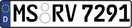 MS-RV7291