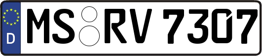MS-RV7307