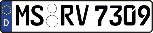 MS-RV7309