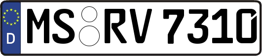 MS-RV7310