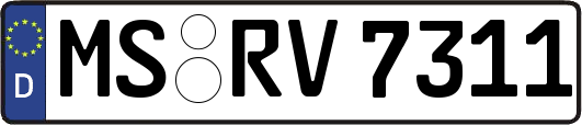 MS-RV7311