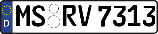 MS-RV7313