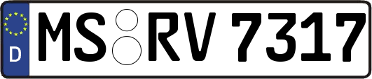 MS-RV7317
