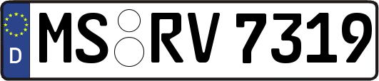 MS-RV7319