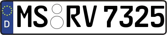 MS-RV7325