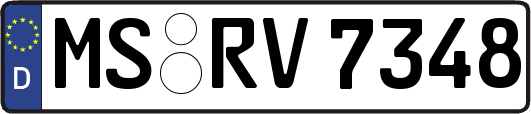 MS-RV7348