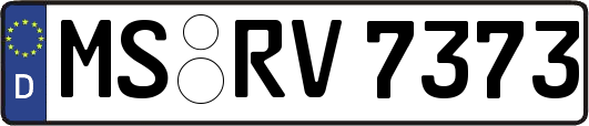 MS-RV7373