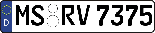 MS-RV7375