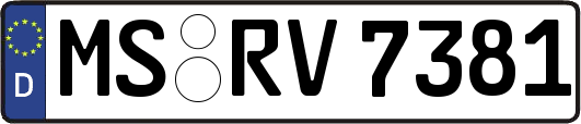 MS-RV7381