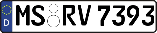 MS-RV7393