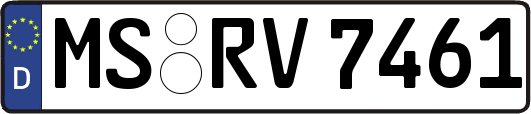 MS-RV7461