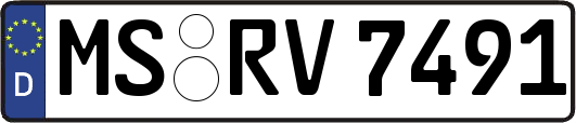 MS-RV7491