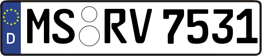 MS-RV7531