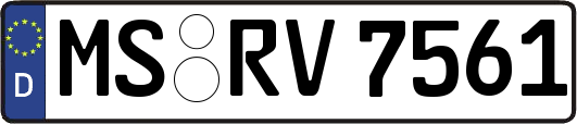 MS-RV7561