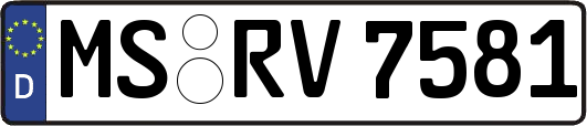 MS-RV7581