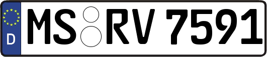 MS-RV7591