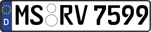 MS-RV7599