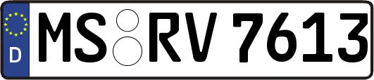 MS-RV7613