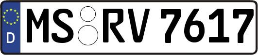 MS-RV7617