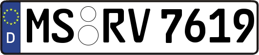 MS-RV7619