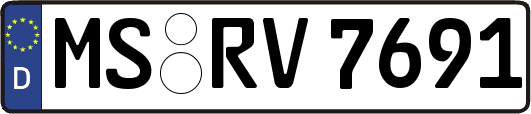 MS-RV7691
