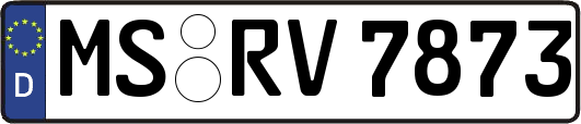 MS-RV7873