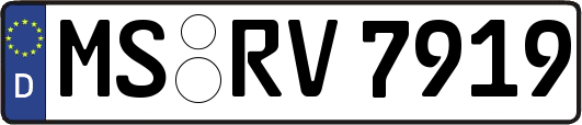 MS-RV7919