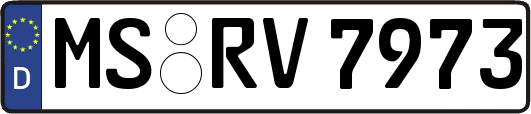 MS-RV7973