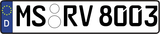 MS-RV8003