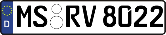MS-RV8022
