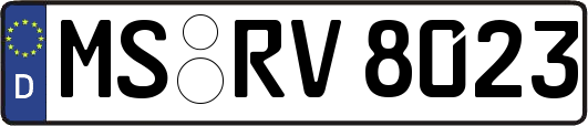 MS-RV8023