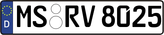 MS-RV8025