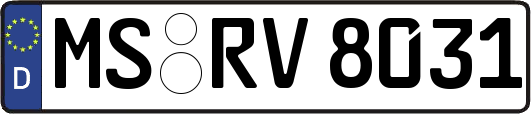 MS-RV8031