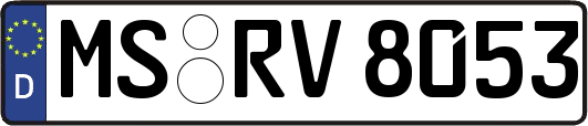 MS-RV8053