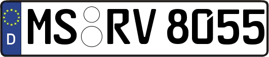 MS-RV8055