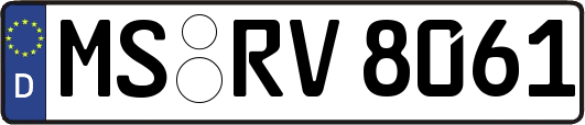 MS-RV8061