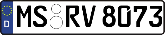 MS-RV8073