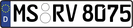 MS-RV8075
