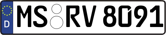 MS-RV8091