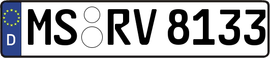 MS-RV8133