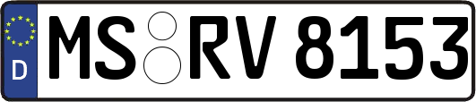 MS-RV8153