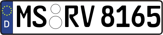 MS-RV8165