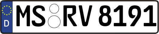 MS-RV8191