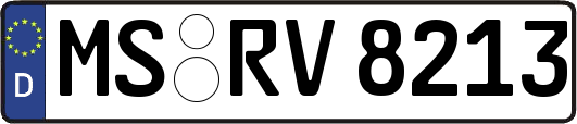 MS-RV8213