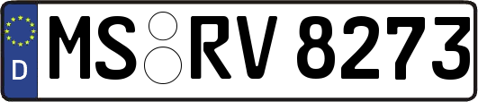 MS-RV8273