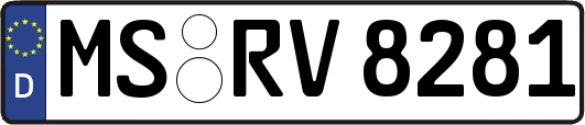 MS-RV8281