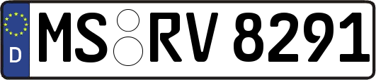MS-RV8291