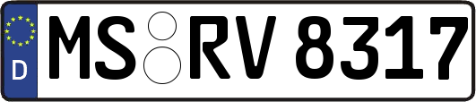 MS-RV8317